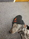 Red Summit Swag, Red Summit Beanie, Red Summit logo in red embroidered on soft knit black beanie. Shown on Red Summit mascot, our shop dog 'Summit'.